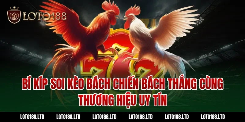 Bí kíp soi kèo bách chiến bách thắng cùng thương hiệu uy tín Loto188