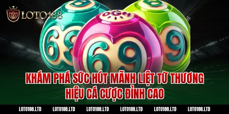Khám phá sức hút mãnh liệt từ thương hiệu cá cược đỉnh cao Loto188