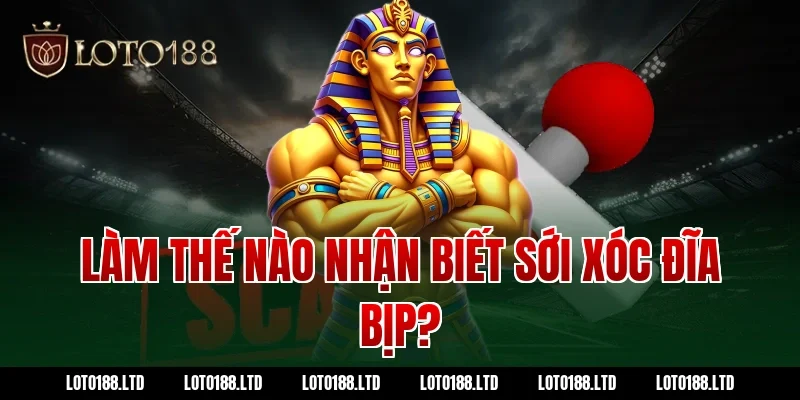 Làm thế nào nhận biết sới xóc đĩa bịp tại Loto188?