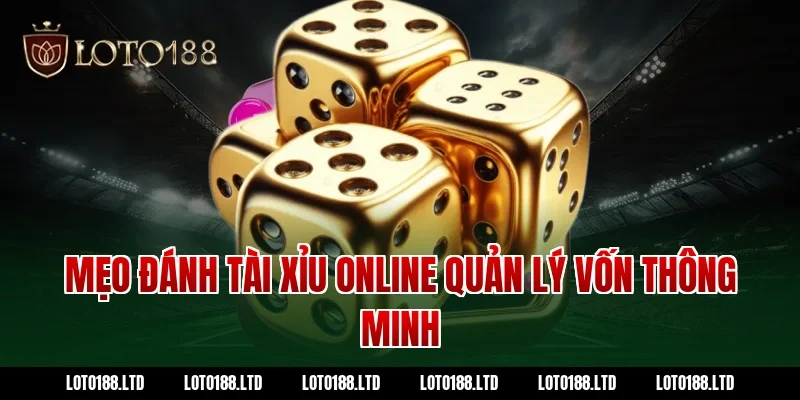 Mẹo đánh tài xỉu online - quản lý vốn thông minh tại Loto188