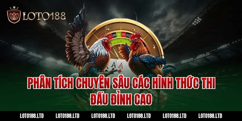 Phân tích chuyên sâu các hình thức thi đấu đỉnh cao tại Loto188