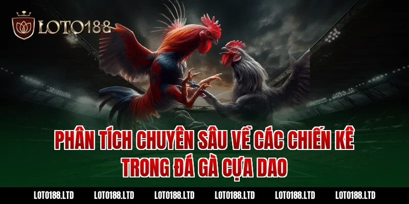 Phân tích chuyên sâu về các chiến kê trong đá gà cựa dao Loto188
