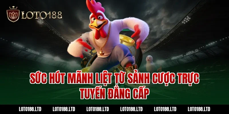 Sức hút mãnh liệt từ sảnh cược trực tuyến đẳng cấp Loto188